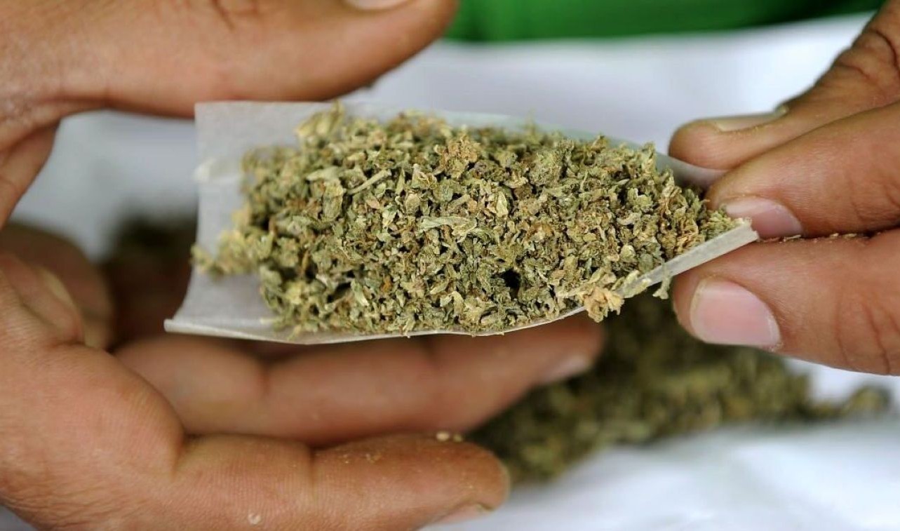 مجازات حشیش