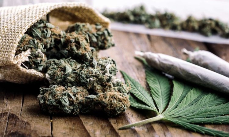 آیا میتوان مجازات قاچاق حشیش را کاهش داد؟