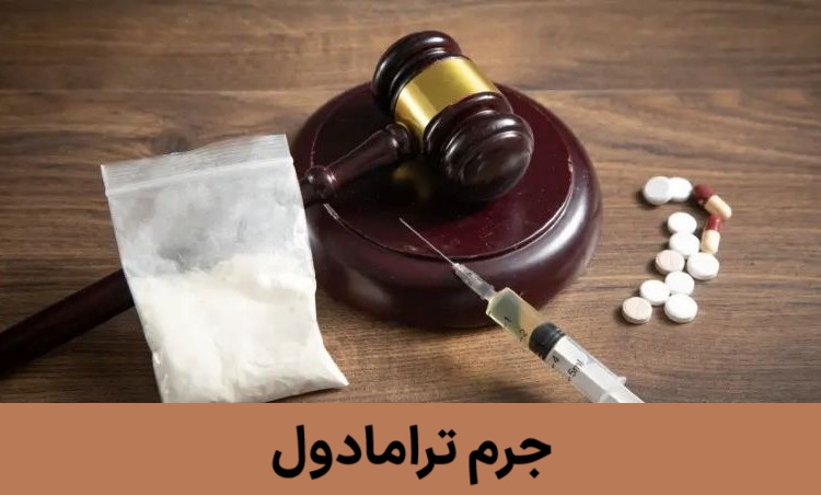 دفاعیات مهم در پرونده نگهداری یا حمل ترامادول.
